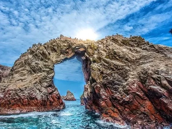 Tour Paracas, Islas Ballestas y Huacachina: Aventura, sabor y tradición